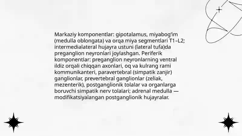 Vegitativ nerv tizimining simpatik va parasimpatik qismi 4