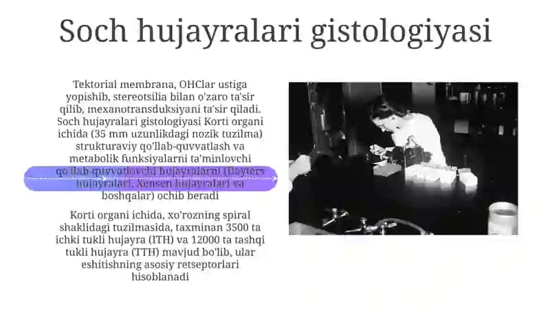 Eshitish Histologiyasidagi Klinik Korrelyatsiyalar 4