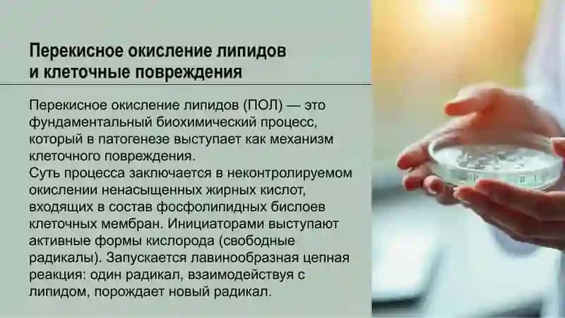 Значение перекисного окисления липидов и повреждения клеток в патогенезе 4