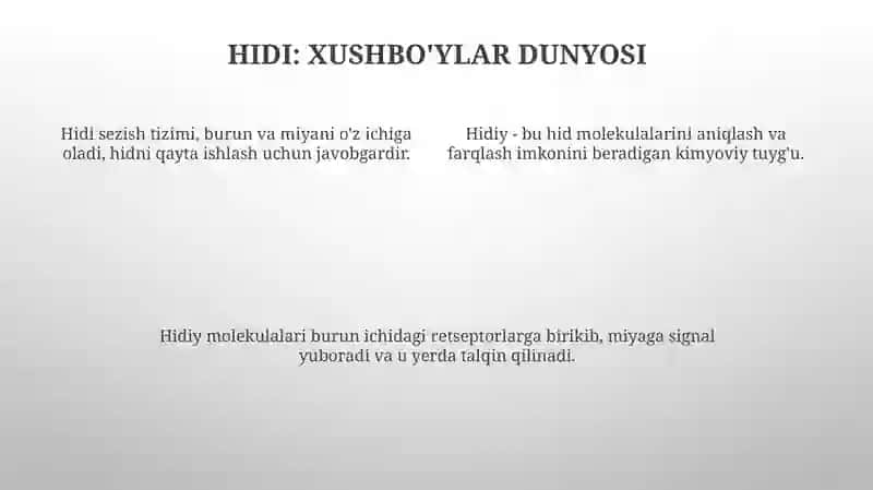 Sezgilar haqida umumiy tushuncha va uning nerv-fiziologik asoslari 4