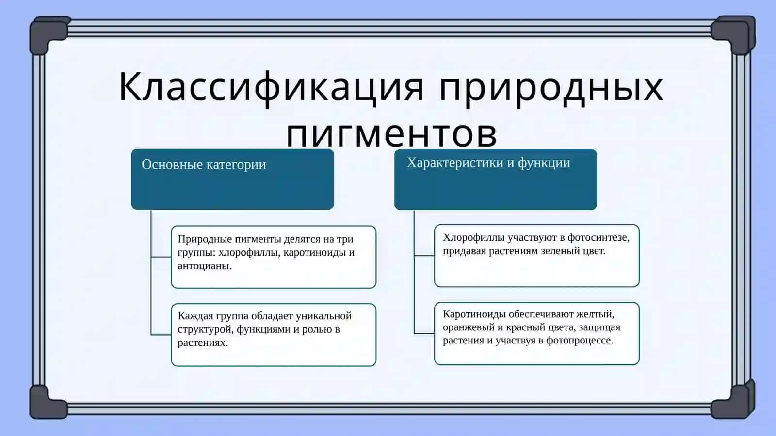 Пигменты и получения пигментов из разных природных источников Лабораторная работа 4
