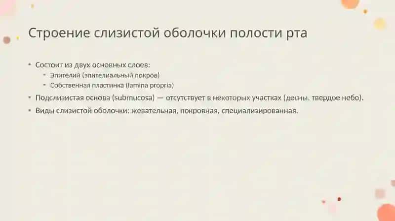Возрастные особенности строения слизистой оболочки полости рта. Тканевые и клеточные механизмы защитной функции слизистой оболочки полости рта 4
