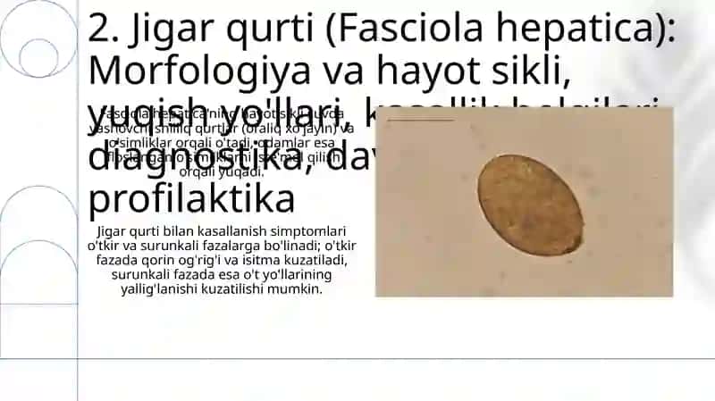 So’rg’ichlilar odam parazitlari 4