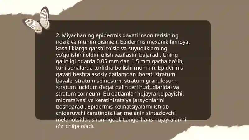Miyachaning tuzilishi 4