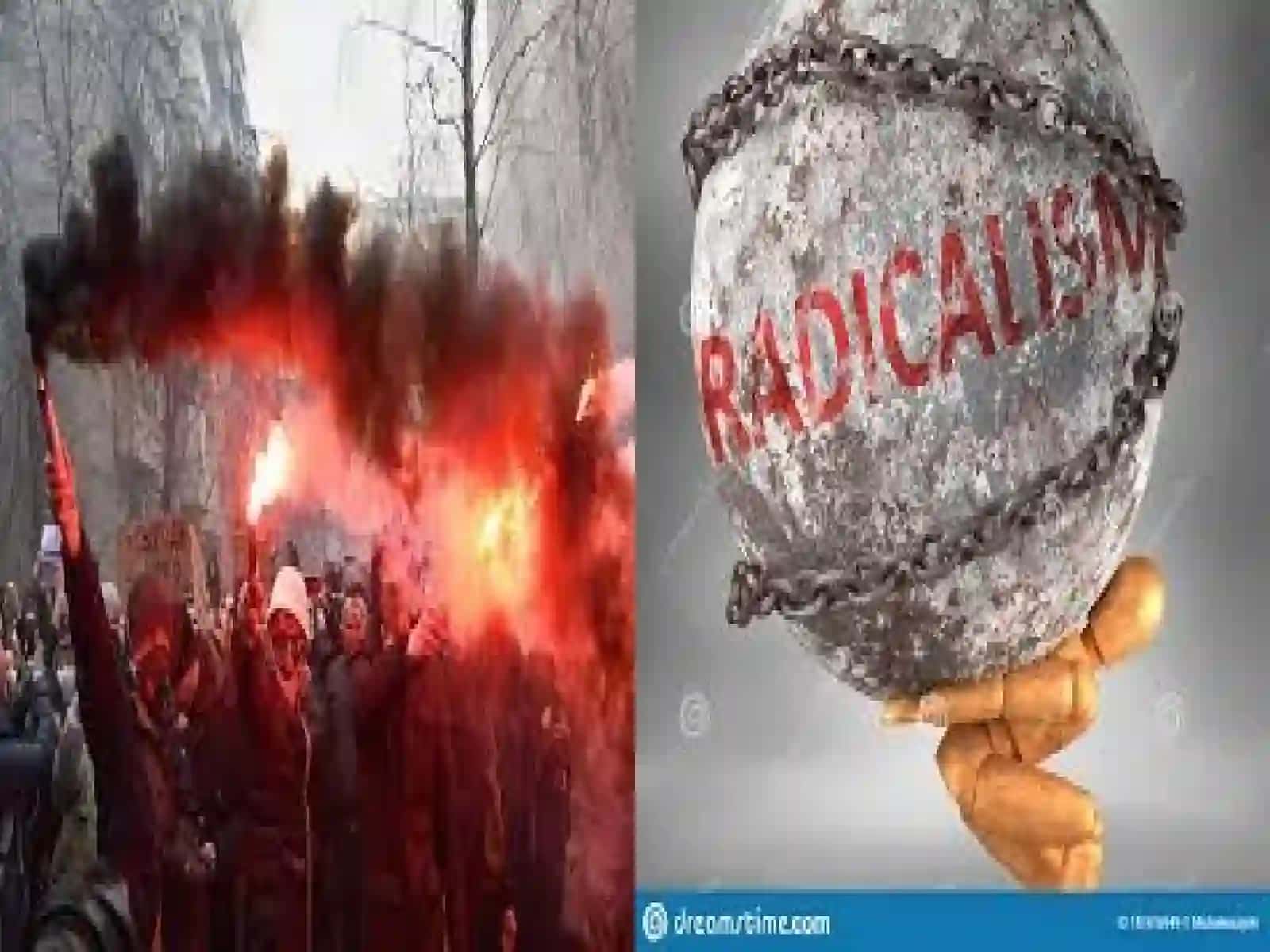 Radikalizm va terrorizmning tarixi 4