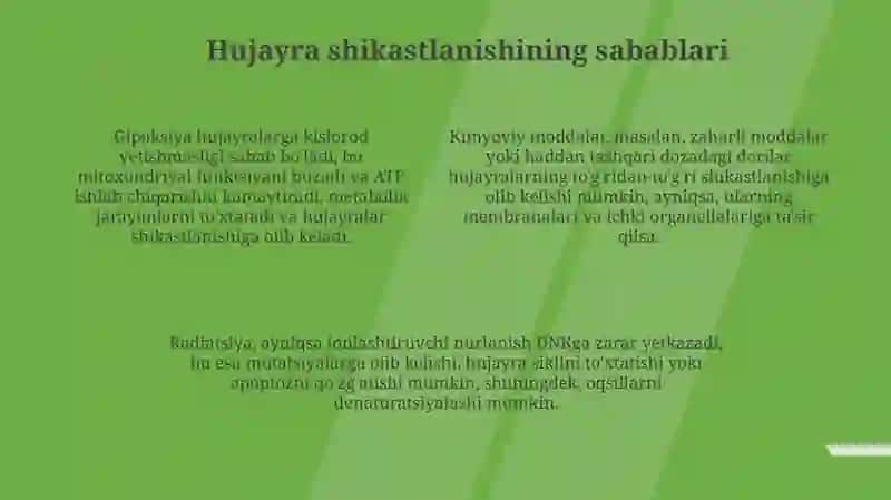 Mitoxondrial shikastlanishi va hujayra o'limining asosiy mexanizmlari 4