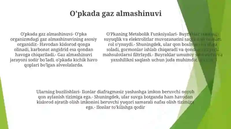 O'Pkaning Metabolik Funksiyalari Va Ularning Buzilishlari 4