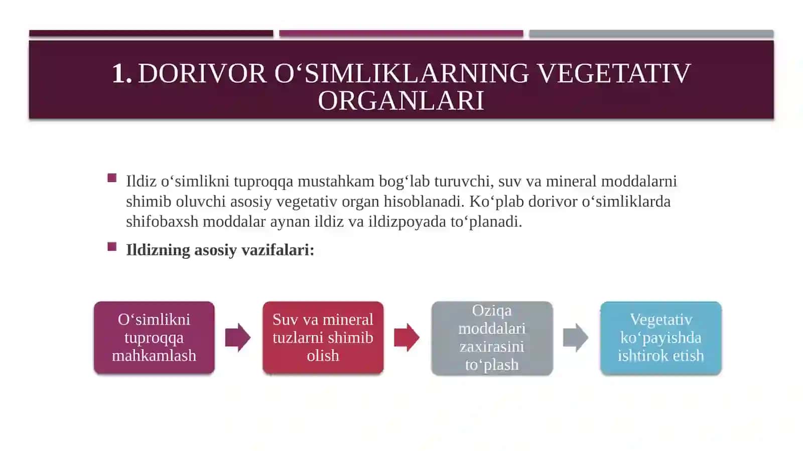 Dorivor òsimliklarning morfologik belgilari 4
