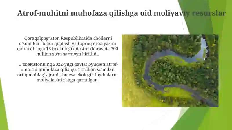 Davlatning atrof muhitni muhofaza qilish siyosati nimalardan iborat 4
