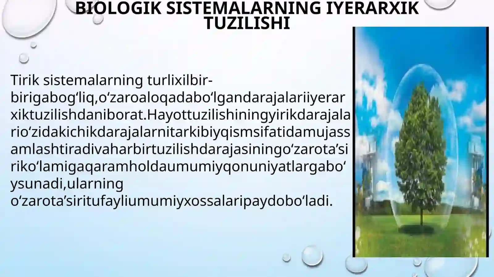 Ekologiya va hayot 4