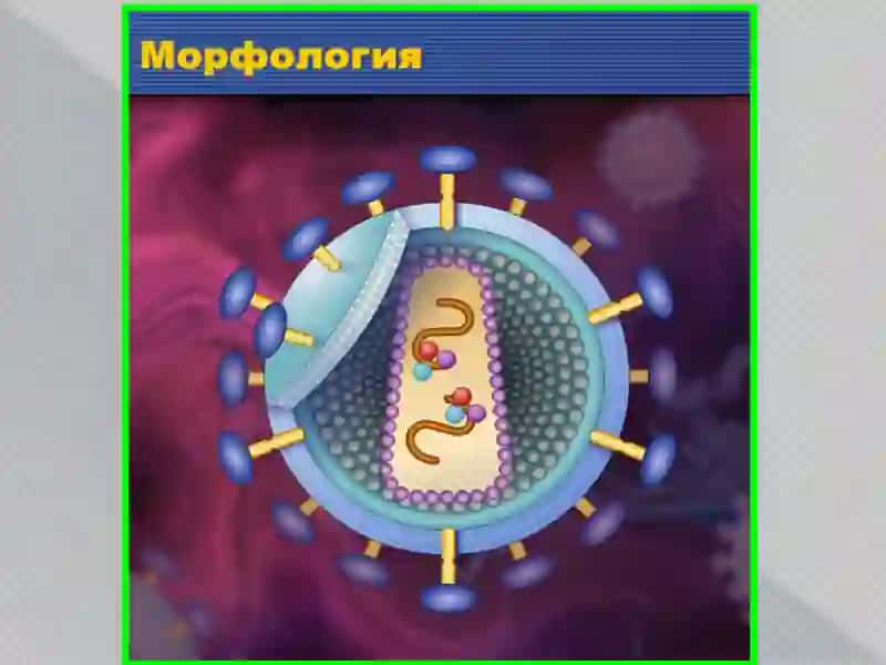 ОИВваОИТСтушунчалари 4