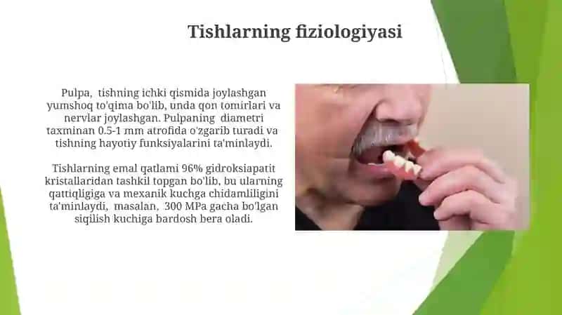 Tishlarning Biologik Tuzilishi 4