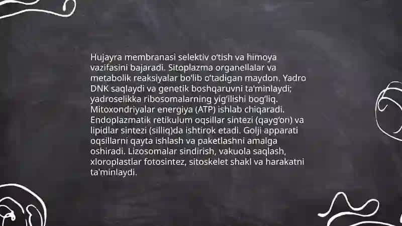 Tirik organizmlar va ularda kechadigan hayotiy jarayonlar 4