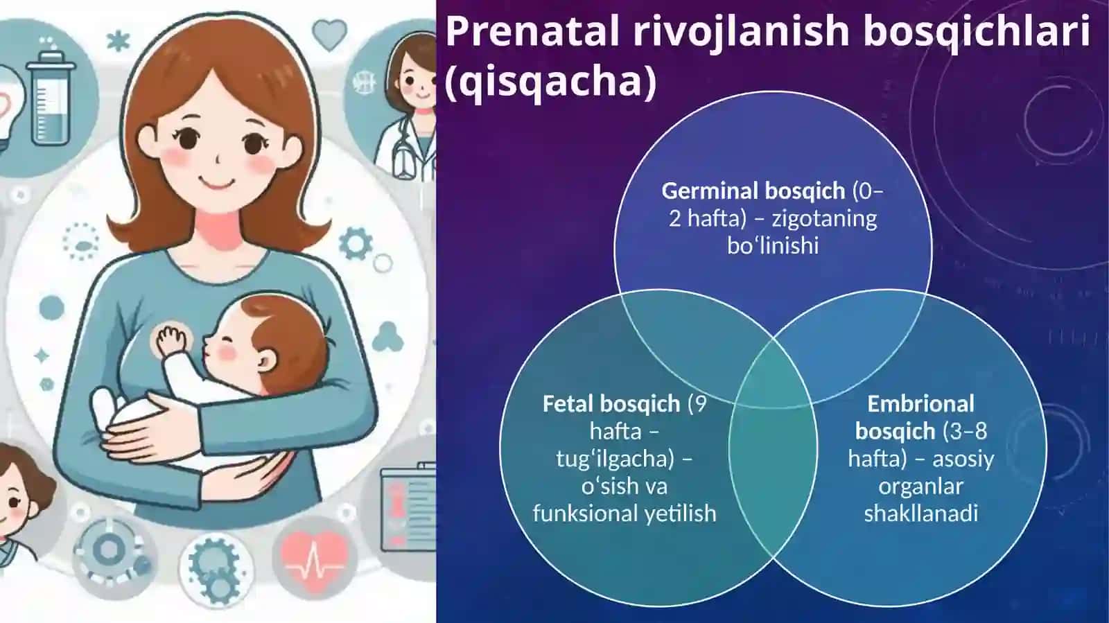 Perinatal davrda psixofiziologik rivojlanish xususiyatlari 4