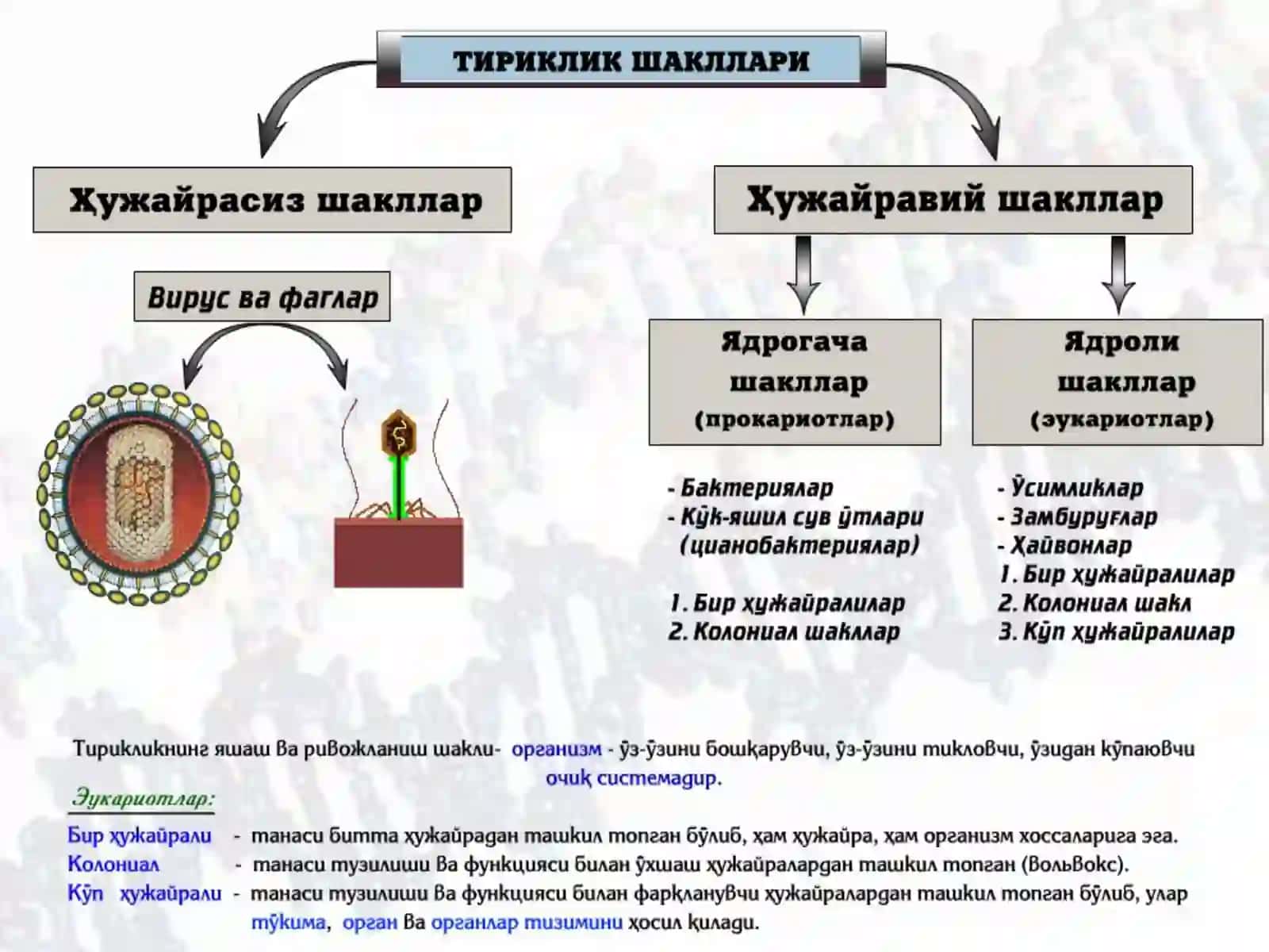 ҲУЖАЙРАБИОЛОГИЯСИ 4
