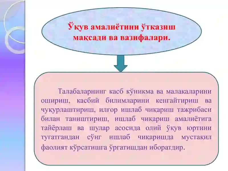 Ўқув амалиётини ҳамда мустақил ишларни ташкил этиш ва ўтказиш методикаси 4