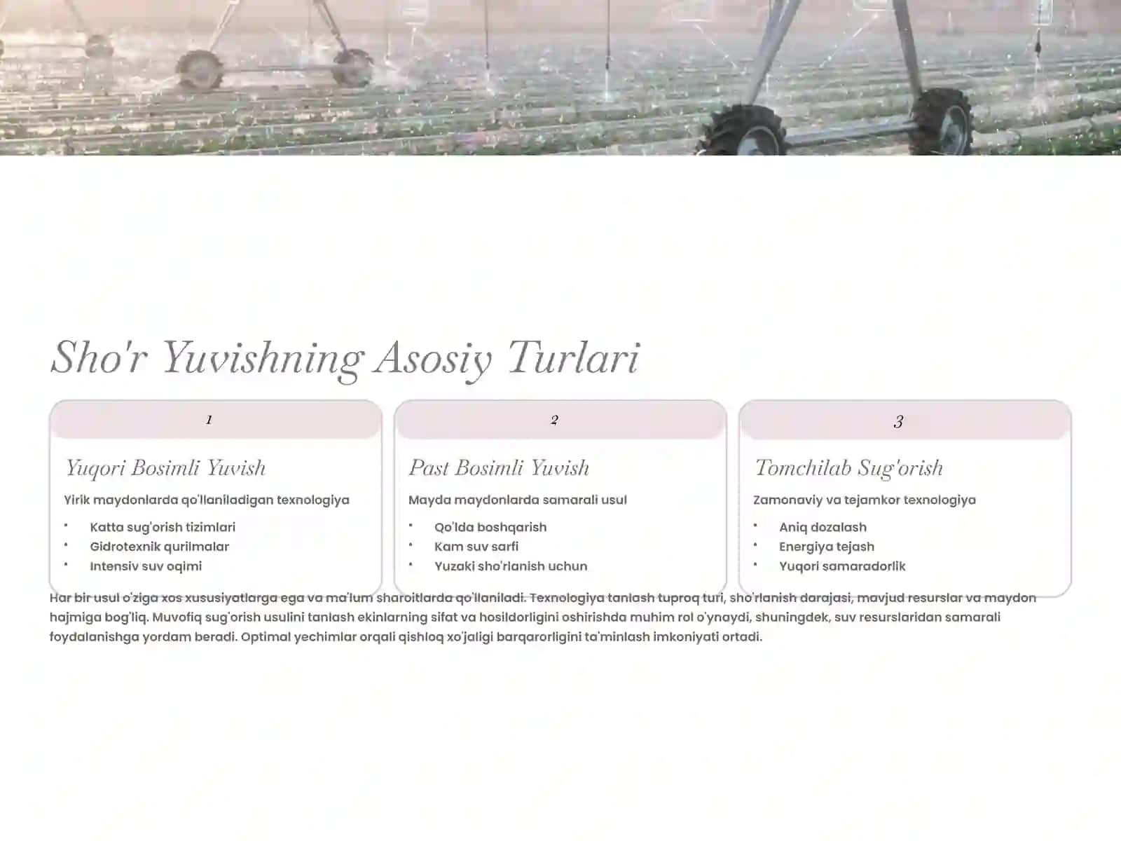 Sho'r Yuvishning Turlari 4
