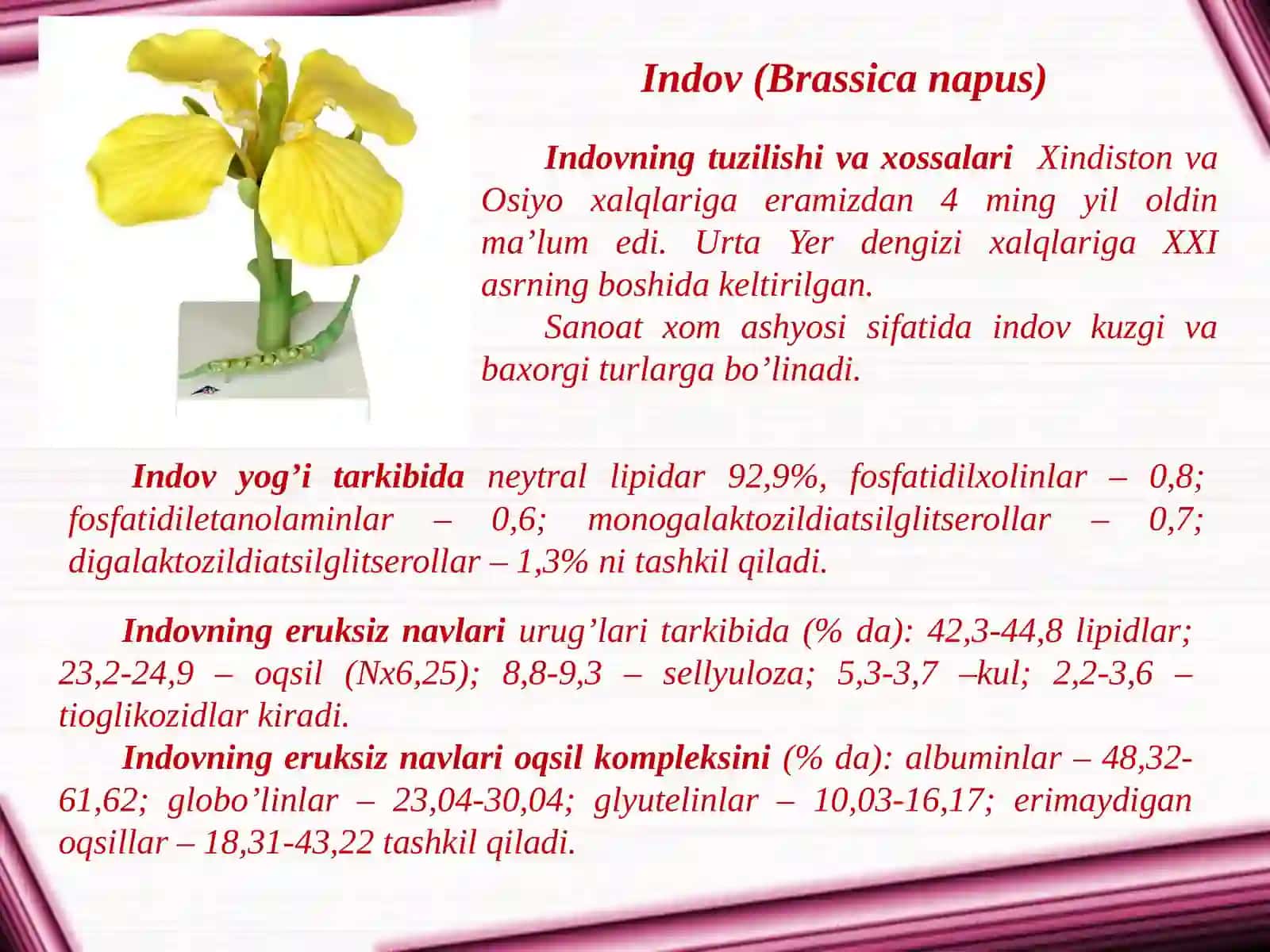 Karamdoshlar va dukkakdoshlar oilasi ga kiruvchi o’simliklar 4
