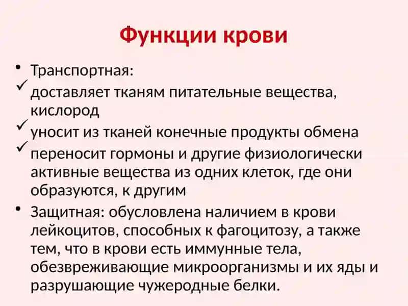 Кровь и система кроветворения у детей 4