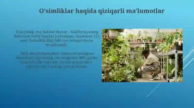 O'simliklar dunyosi va ularning hayot tarzi 4