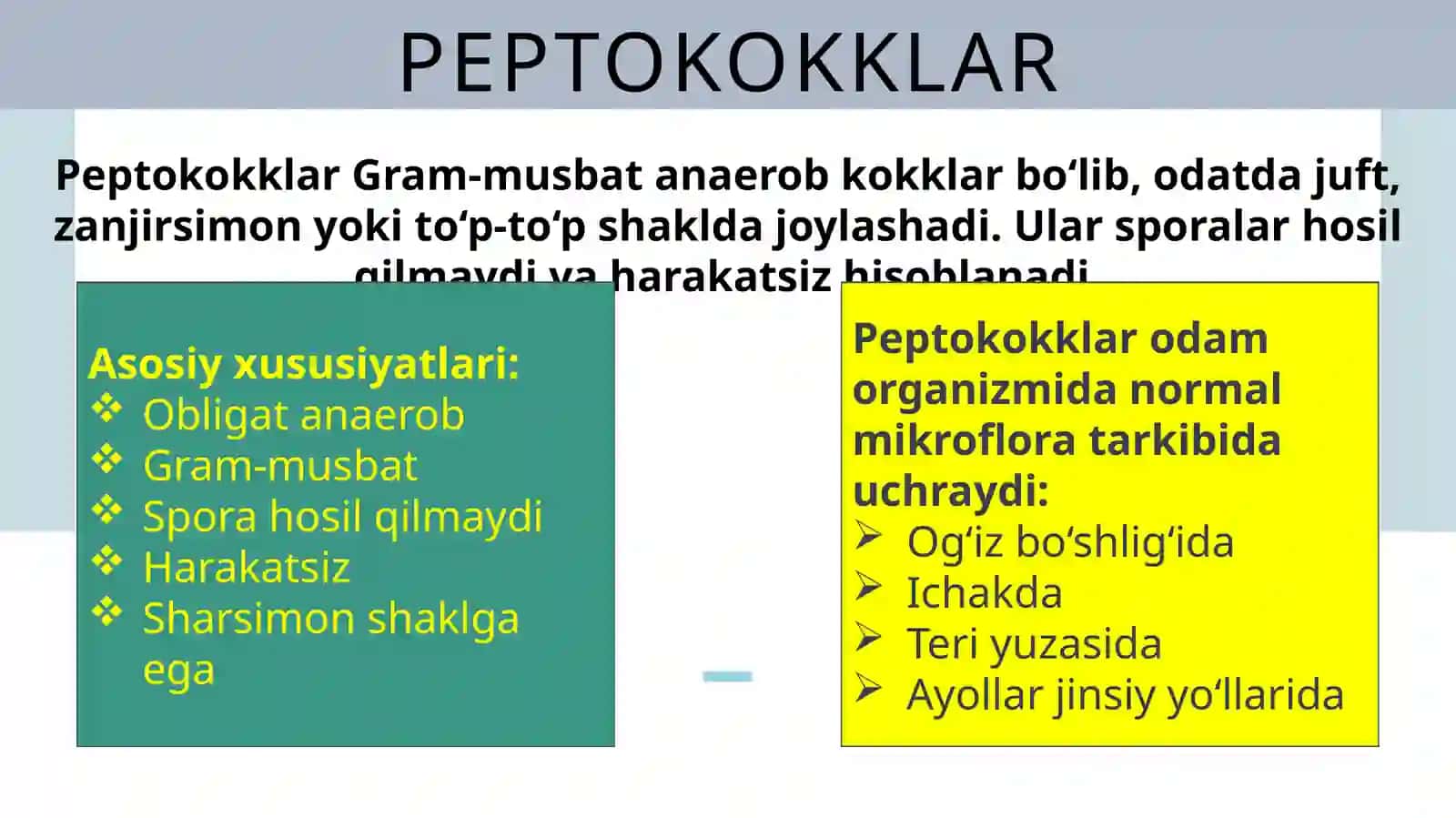 Shartli patogen anaerobkokklar: peptokokklar, peptostreptokokklar va veylonellalar hamda ularning xirurgik va ginekologik kasalliklardagi ahamiyati 4