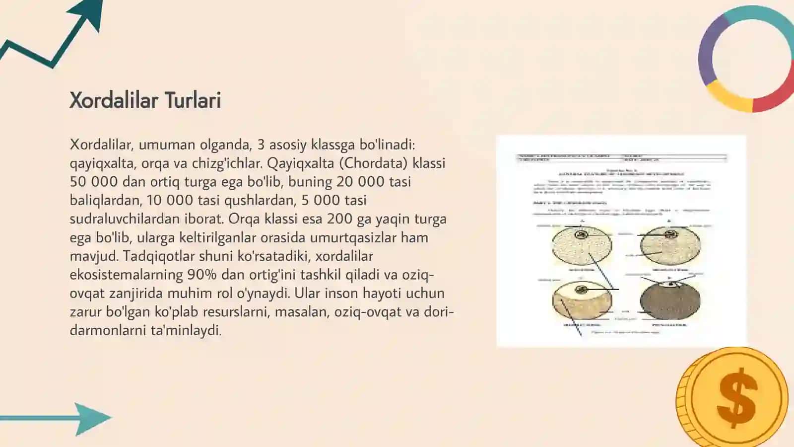 XORDALILAR TIPI LICHINKA XORDALILAR KENJA TIPI SISTEMATIKASI 4