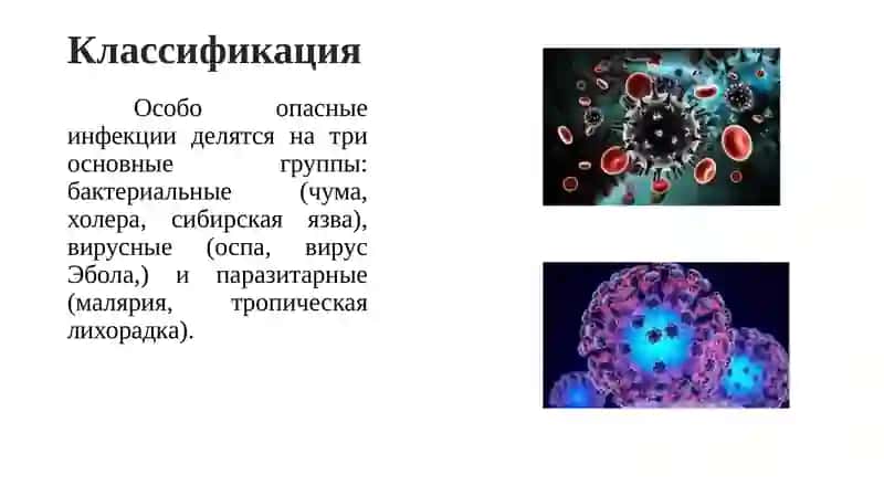 Особо опасные инфекции 4