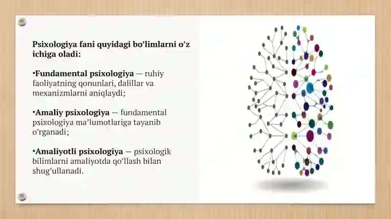 Psixologiya, Psixika haqidagi umumiy tushuncha 4