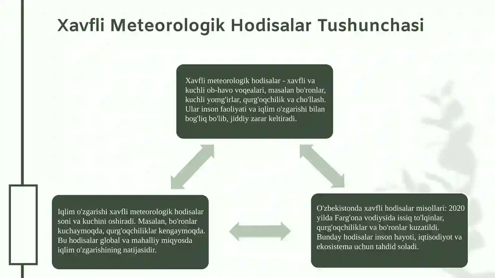 Ekologiya fanidan mustaqil ish taqdimoti 4