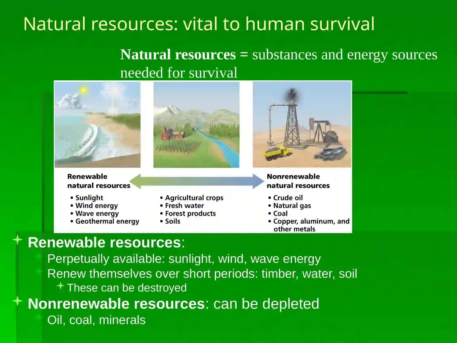 Environmental Science 4