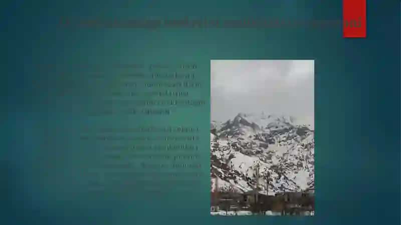 Oʻzbekistonda nodavlat notijorat tashkilotlar va ularning siyosiy jarayonlari 4