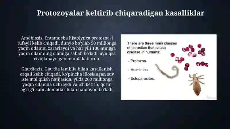 Parazitozlar(soddajonivorlarvagelmintlar)qo’zg'atuvchikasalliklar 4