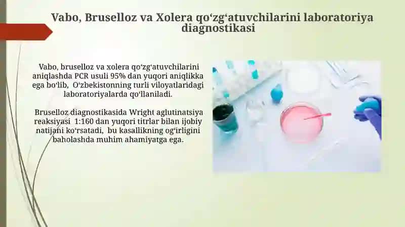 Vabo, Brusellyoz va Vaxaning qoʻzgʻatuvchilarini laboratoriya diagnostikasi 4