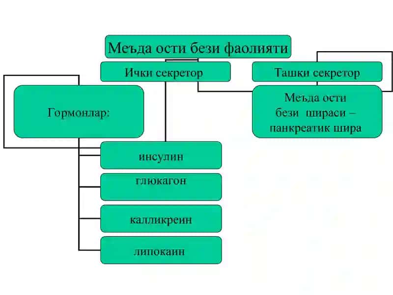 Уткир панкреатит 4