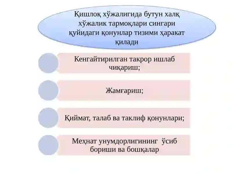 «ҚИШЛОҚ ХЎЖАЛИГИ ИҚТИСОДИЁТИ» ФАНИНИНГ ПРЕДМЕТИ, ТАДҚИҚОТ УСУЛЛАРИ 4