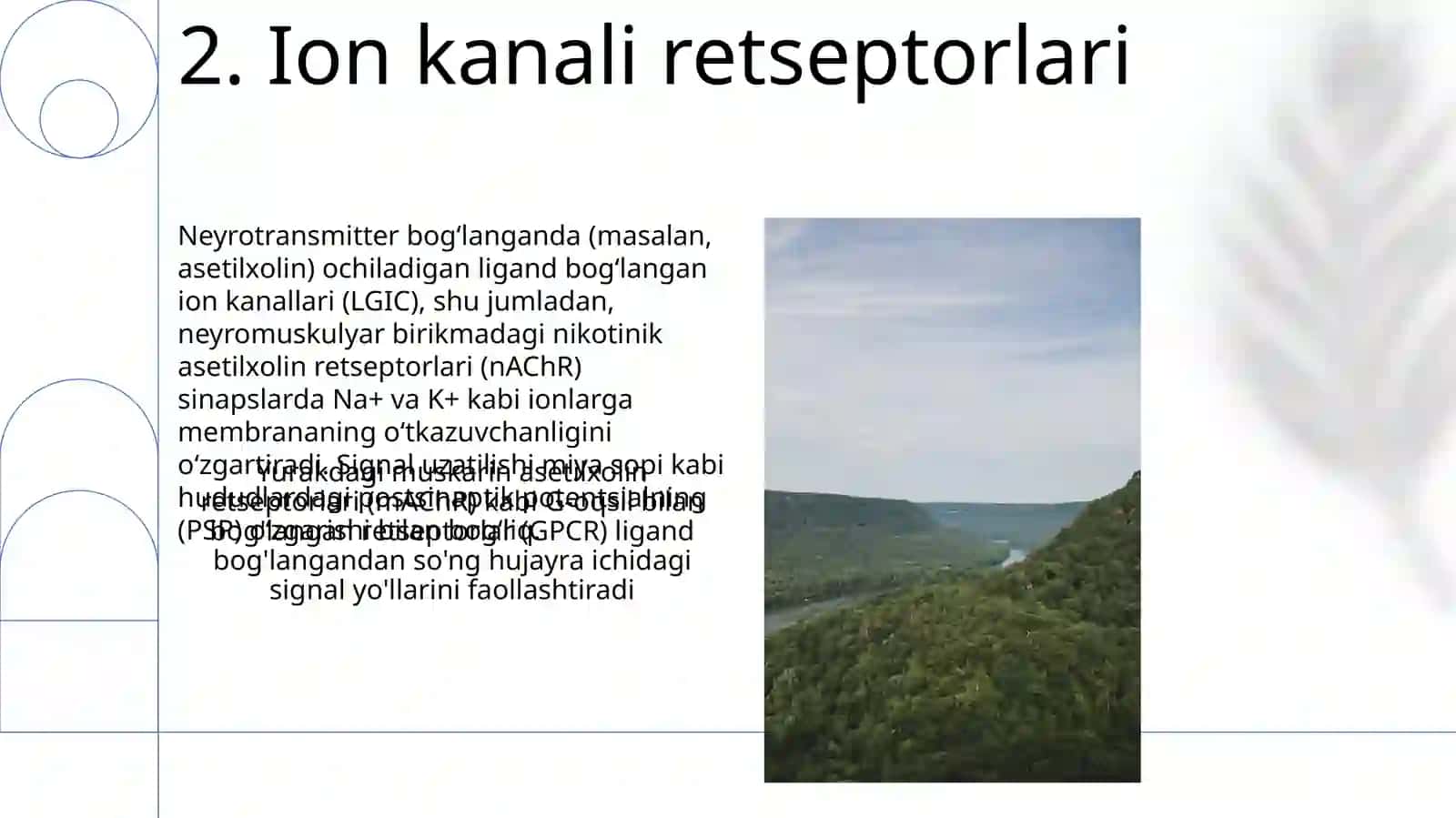 Signallarni membranalar orqali ótkazilishi 4