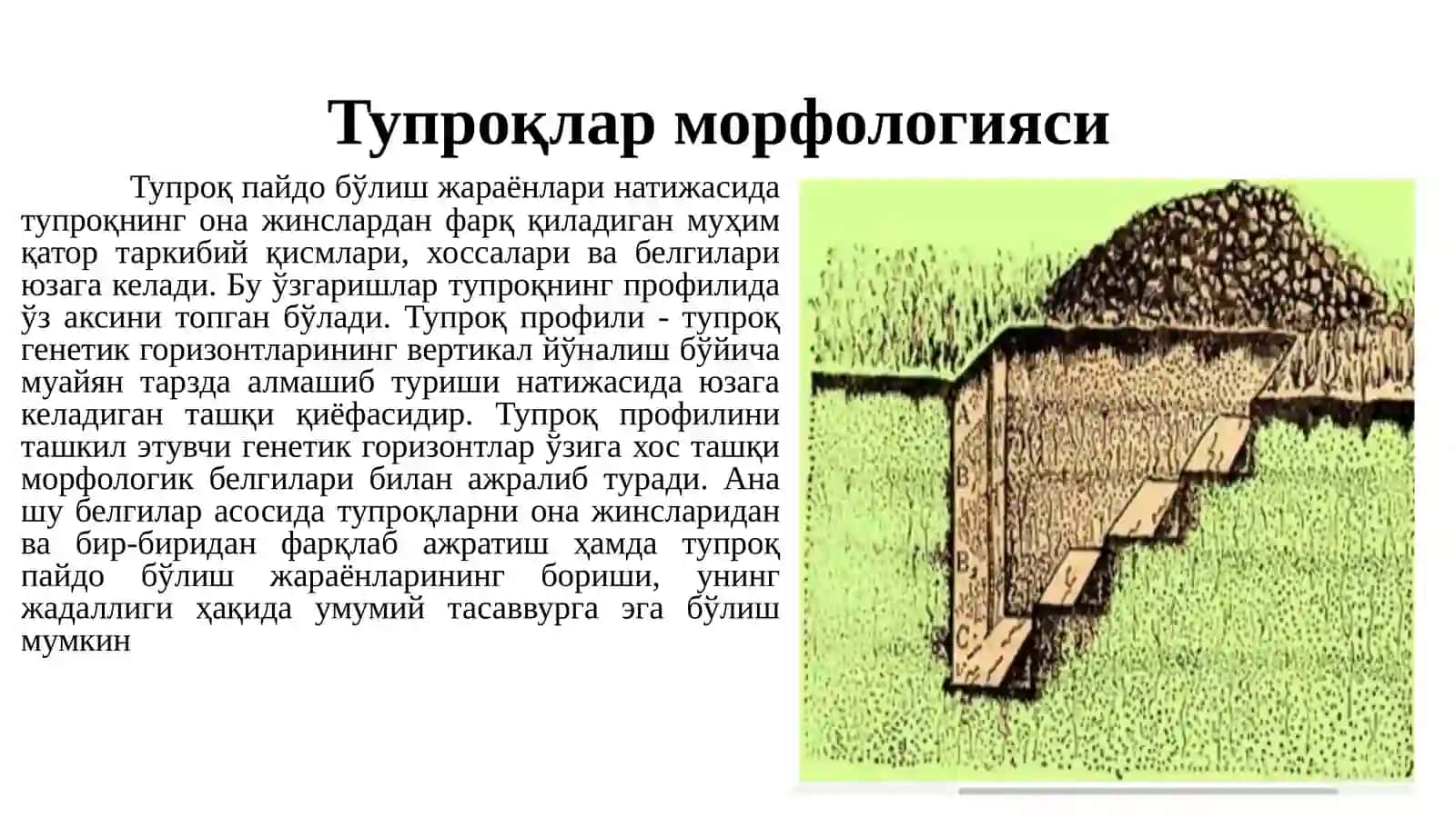 Тупроқларни дала шароитида олиш ва уларни анализга тайёрлаш усуллари 4