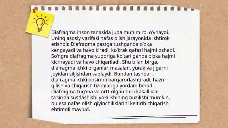 Diafragma, qorinning oq chizig’i, chov kanali tuzilishi 4