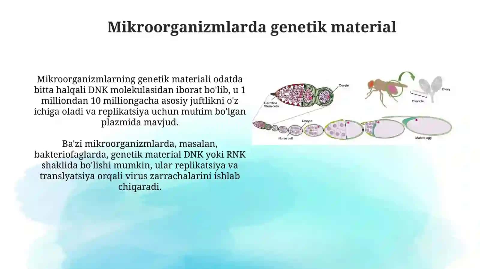 Mikroorganizmlargenetikasi,ko’payishi 4