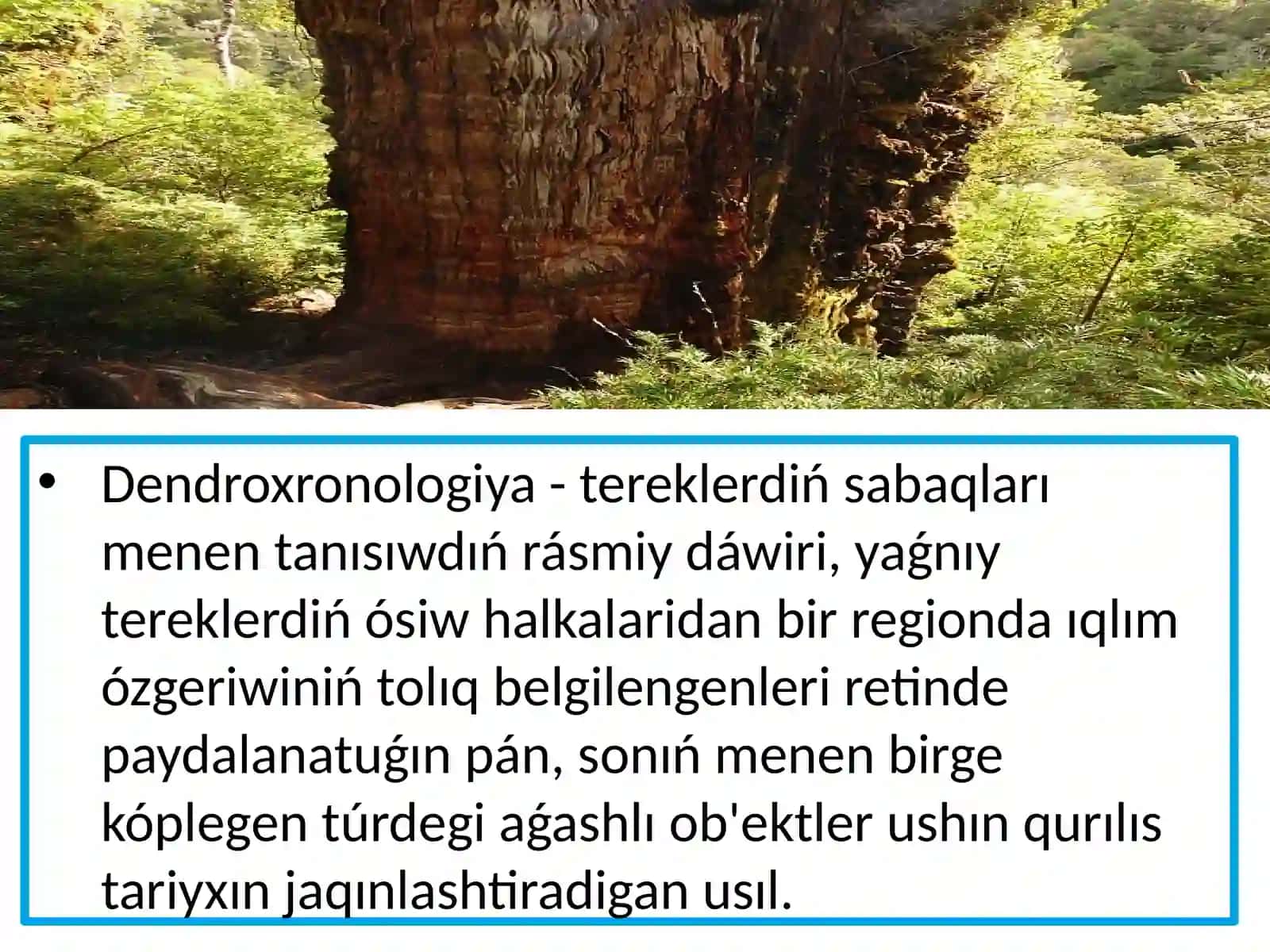 Arxeologiyaliq da'wirlestiriwde Dendroxronologiyaliq ha'm spora-gu'lshan' usıllarınin' qollanılıwı 4