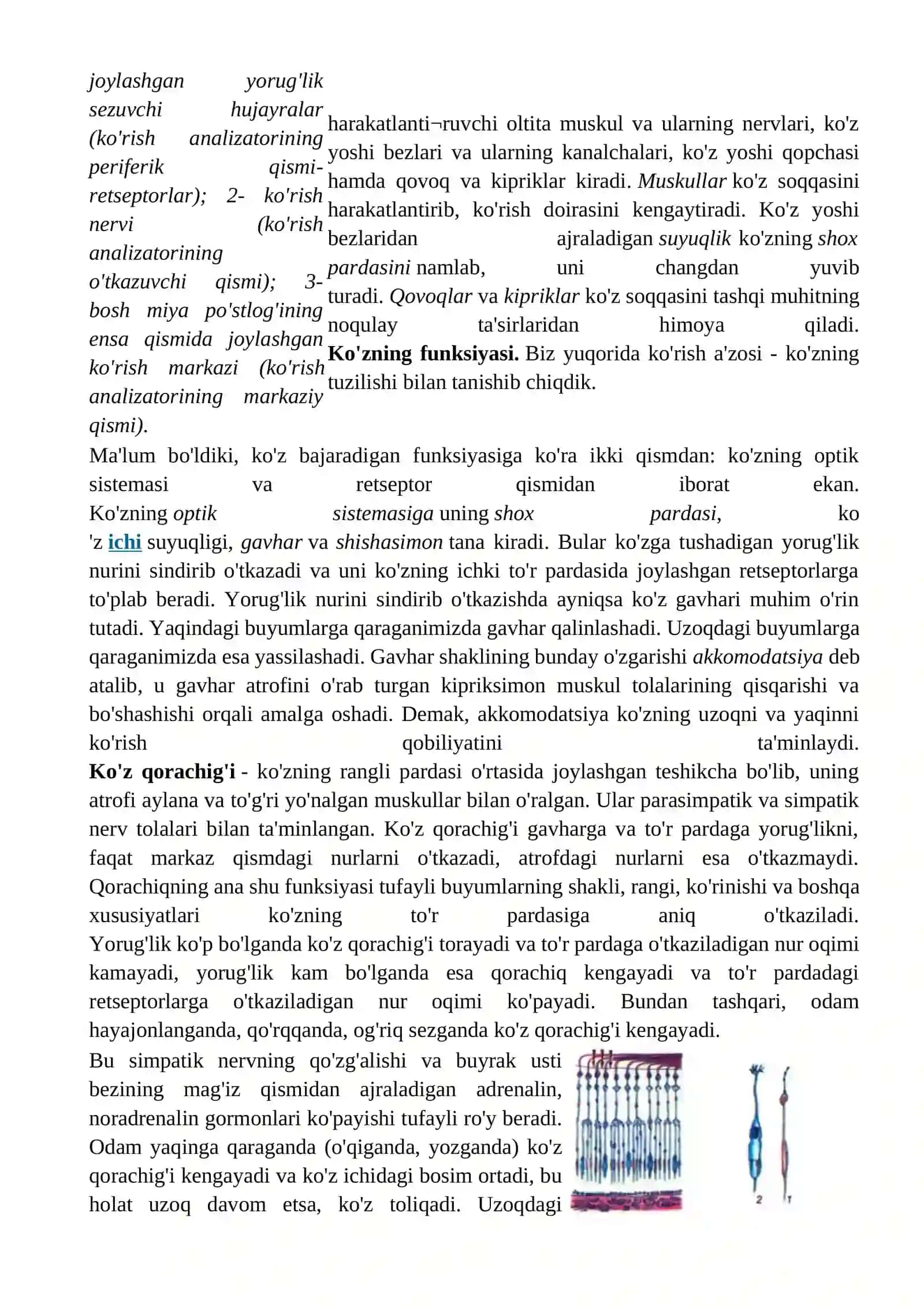 Sezgi a'zolarining ahamiyati 4