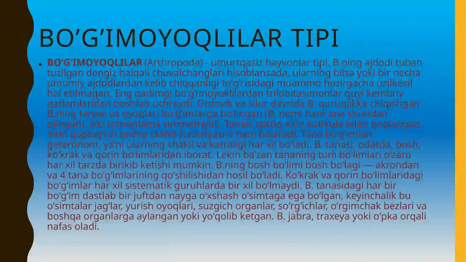 Bo’g’imoyoqlilar tipi 4