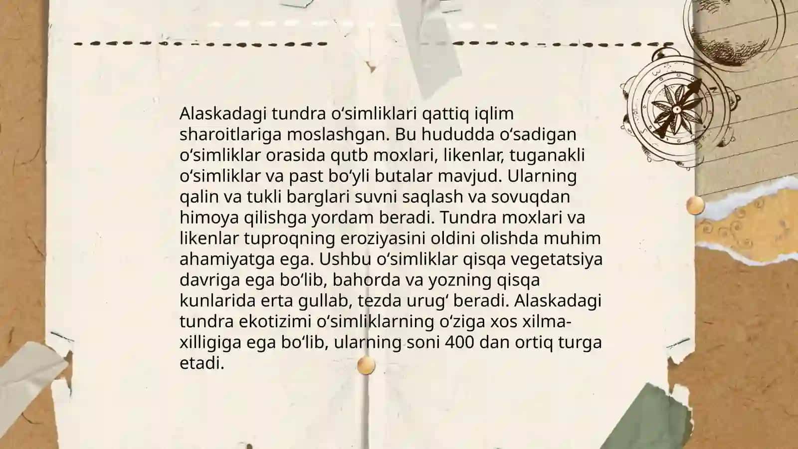 Shimoliy Amerika oʻsimliklari 4