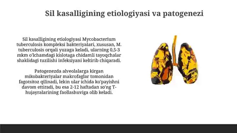 O'pkaning sirrotik tuberkulyozi: Ta'rif va patogenez 4