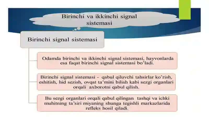 Bolalarda ikkinchi signal sistemasi tizimining rivojiga ta’sir etuvchi omillar 4