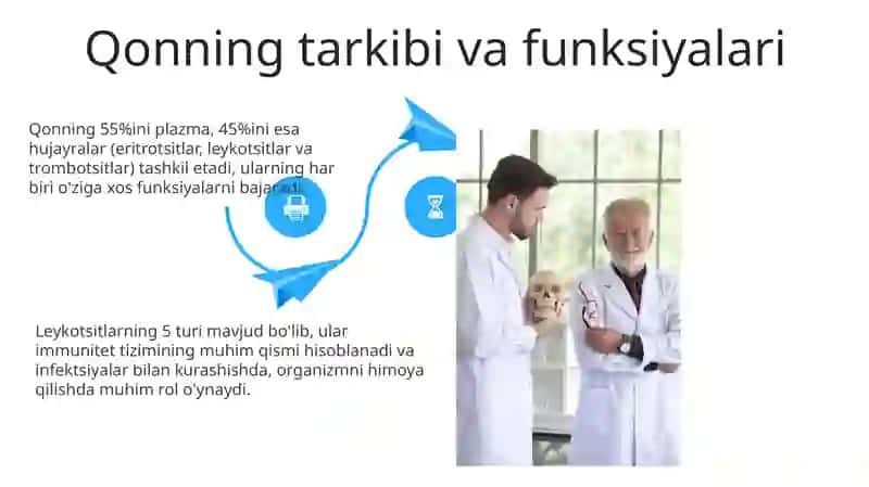 Qon va siyrak tolali biriktiruvchi to'qimalarning o'zaro munosabati 4