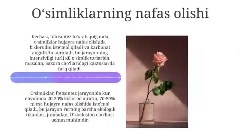Oʻsimliklarning hayotiy shakli 4