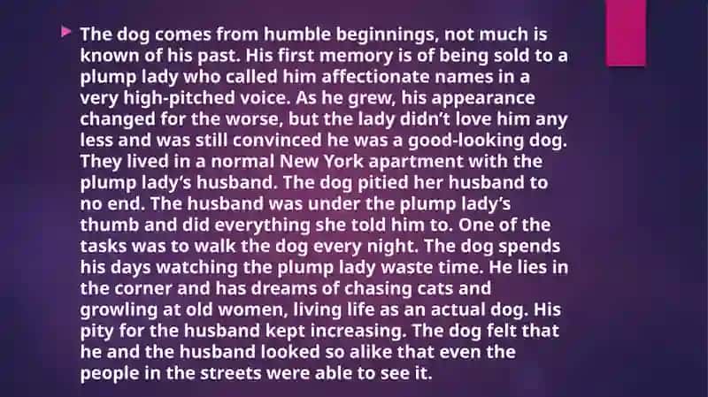 Memoirs of a Yellow Dog 4
