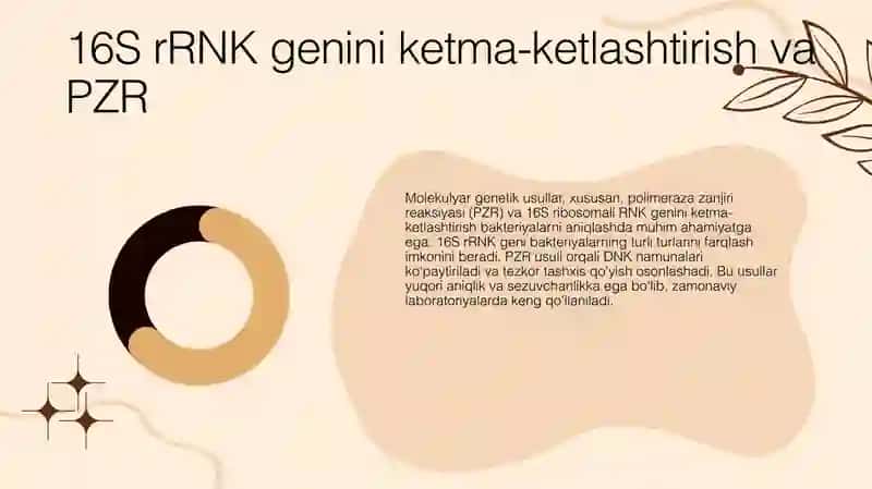 Bakteriyalarga tez tashxis qoʻyishda hozirgi zamon yondashuvlari, molekulyar Genetik usullari polime 4