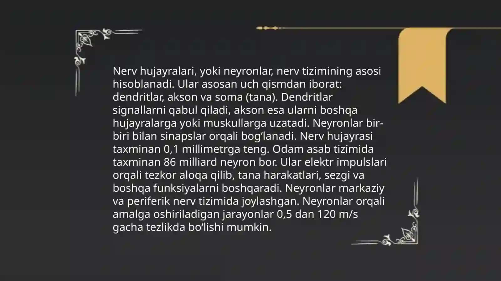 Oliy nerv Faoliyati 4